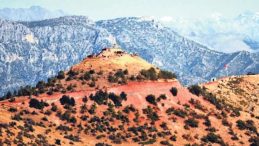 Artık O &Uuml;&ccedil; Kampta Sıra!