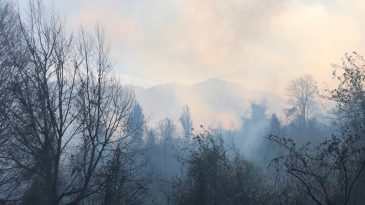 Artvin'deki örtü yangını kontrol altına alındı