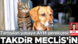 AYM'nin Gerek&ccedil;esi: Takdir Meclis&rsquo;indir