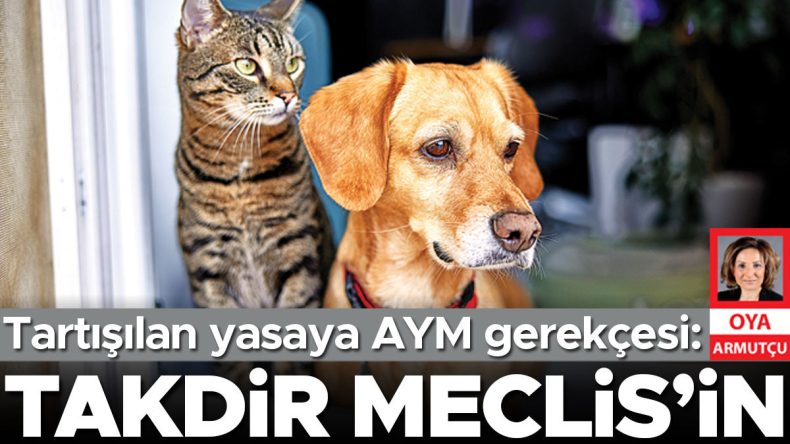 AYM'nin Gerek&ccedil;esi: Takdir Meclis&rsquo;indir