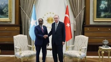 Başkan Erdoğan Somali Cumhurbaşkanı Mahmud ile G&ouml;r&uuml;ş&uuml;yor