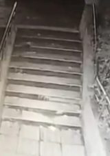 Beylikd&uuml;z&uuml;&rsquo;nde 4 Farklı Yer Yangına Maruz Kaldı: Ş&uuml;pheli Kadın Yakalandı!