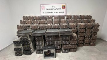 Bin 500 Hanenin Elektriğine Denk! Ahırda Ka&ccedil;ak Kripto Para &Uuml;rettiler