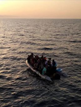 Bodrum'da Kaçak Göçmen Operasyonu! 82 Kişi Yakalandı