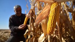 &Ccedil;ift&ccedil;ilere Yeni Yılda Y&uuml;zde 25 Artış: Tarımsal Destek &Ouml;demeleri 2026'da Y&uuml;kseliyor