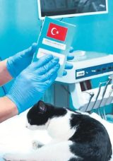 Çip Taktırmak İçin Son Gün 31 Aralık