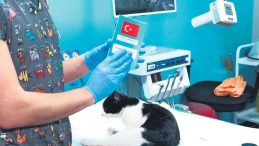 &Ccedil;ip Taktırmak İ&ccedil;in Son G&uuml;n 31 Aralık