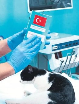 Çip Taktırmak İçin Son Gün 31 Aralık