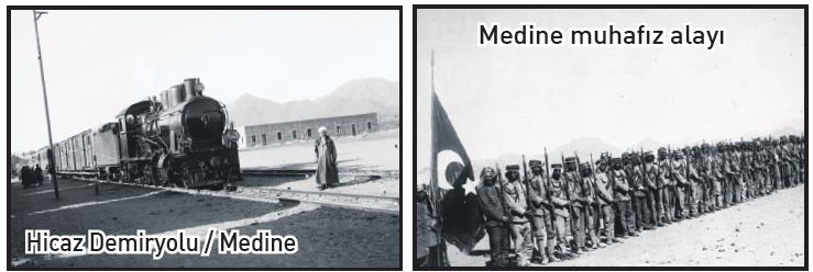 Çöl Kaplanı Fotoğrafı