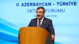 Cumhurbaşkanı Yardımcısı Yılmaz: Yenilenebilir enerjide Azerbaycan'la işbirliğine hazırız