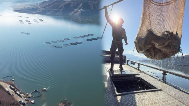 Denizi Olmayan Kentte Tarım Harikası: Avrupa ve Uzak Doğu'ya İhra&ccedil; Ediliyor!