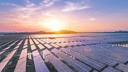 Depo Yatırımını Geciktiren 5 Şirkete Ruhsat İptali