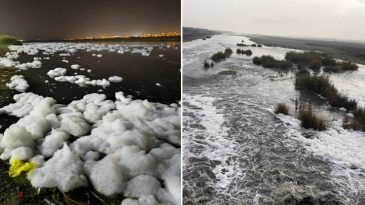Dicle Nehri&rsquo;nde &lsquo;K&ouml;p&uuml;k&rsquo; Sorunu! Analiz Raporları A&ccedil;ıklandı