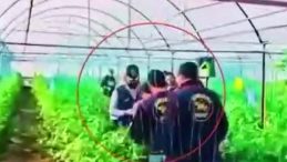 Diyarbakır&rsquo;da 7 Yıl &Ouml;nce İşlenen Cinayetin H&uuml;k&uuml;ml&uuml;s&uuml; Antalya&rsquo;da Yakalandı