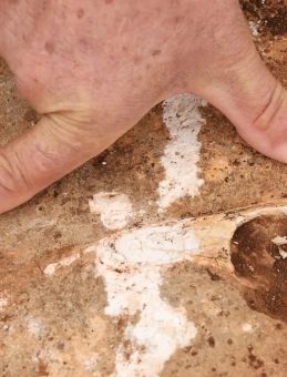 Diyarbakır&rsquo;da şaşırtıcı buluş: Tetis Denizi zeminine işaret ediyor!