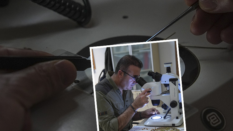 Emekli Öğretmenin Doğa Yürüyüşünde Yaptığı Keşif Dünyaca Ünlü Dergide Yayınlandı