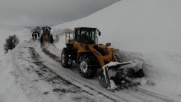Erzincan'da Kar Yağışı ve Tipi Nedeniyle Ulaşım Engelleri Aşıldı