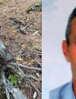 Erzincan’da Korkunç Olay: Domuz Saldırısında Avcı Hayatını Kaybetti!