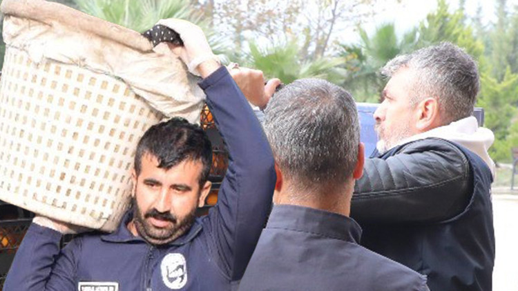 Fiyatı 2 Liraya Düşünce Dalda Kalmıştı: Belediye Satın Alıp Vatandaşa Ücretsiz Dağıttı