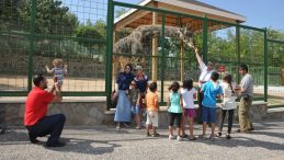 Gaziantep Hayvanat Bah&ccedil;esi'nin Simgesi Z&uuml;rafa Şakir Hayatını Kaybetti