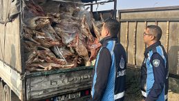 Gaziantep'te Durduğunda Kilolarca Bozuk Et Bulunan Kamyonet!