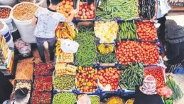 Hallerde &Uuml;retici Korunacak