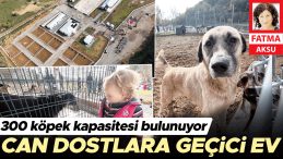 Hayvan Dostlarına İlham Veren Barınak &Ouml;rneği