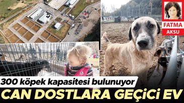 Hayvan Dostlarına İlham Veren Barınak &Ouml;rneği