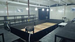 Horoz D&ouml;v&uuml;ş&uuml;ne Jandarmadan Operasyon! Ringe D&ouml;n&uuml;şt&uuml;r&uuml;len Konteyner Ele Ge&ccedil;irildi