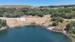 İBB&rsquo;den Orman Yıkımı