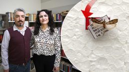 İlk Kez Diyarbakır'da Keşfedildi: Işık Tuzağıyla Yakalandı!