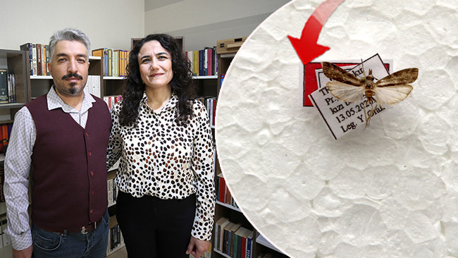 İlk Kez Diyarbakır'da Keşfedildi: Işık Tuzağıyla Yakalandı!