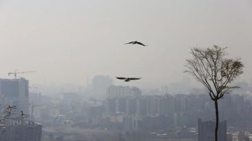 İran&rsquo;da Hava Kirliliği ile M&uuml;cadele İ&ccedil;in Yeni &Ouml;nlemler: Tahran &Ouml;rnek Alan Olacak