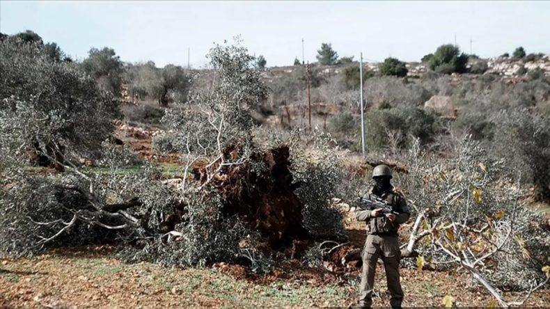 İsrail Güvenlik Gerekçesiyle Toprakları İşgal Ediyor
