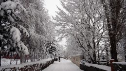 İstanbul'a Yılın İlk Kar Yağışı Geldi!