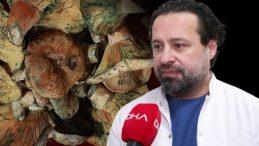 İstanbul'da 60 Kişide Mantar Zehirlenmesi: Etkileri 5 Saat Sonra Başlıyor! Uzmanlar Uyardı