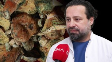 İstanbul'da 60 Kişide Mantar Zehirlenmesi: Etkileri 5 Saat Sonra Başlıyor! Uzmanlar Uyardı