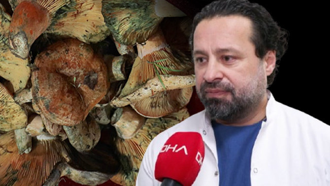 İstanbul'da 60 Kişide Mantar Zehirlenmesi: Etkileri 5 Saat Sonra Başlıyor! Uzmanlar Uyardı