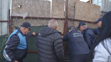 İstanbul'da Ka&ccedil;ak At Kesimi İddiası: 2 Ş&uuml;pheli G&ouml;zaltında