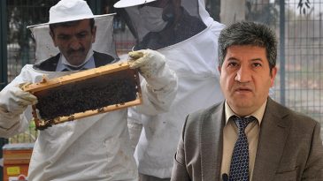 İyi Balın &Ouml;zellikleri: Uzman G&ouml;r&uuml;ş&uuml;