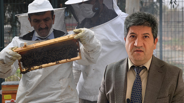 İyi Balın &Ouml;zellikleri: Uzman G&ouml;r&uuml;ş&uuml;