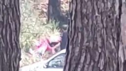 İzmir'de Kadın Darp Edildi: &Ccedil;ığlıkları T&uuml;m &Ccedil;evreyi Sarsıyor!