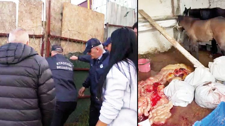 Kesim Olayının Ardından Gözaltılar