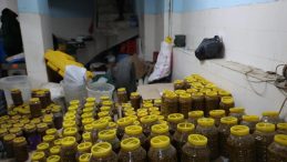 Kilis'te Mide Bulandıran Hijyen Skandalı: Ölü Fareler 'Bu Kadar Olmaz' Dedirtti!