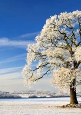 Kış Gündönümü: 2025 En Uzun Gece Tarihi ve Günlerin Uzunluğu