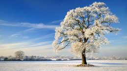 Kış G&uuml;nd&ouml;n&uuml;m&uuml; İ&ccedil;in Geri Sayım! 2025'te G&uuml;nler Ne Zaman Uzayacak, En Uzun Gece Hangi Tarihte?