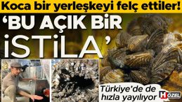 Koca Bir Yerleşkeyi Fel&ccedil; Ettiler! &lsquo;Bu A&ccedil;ık Bir İstila&rsquo; | T&uuml;rkiye'de de Hızla Yayılıyor, Tehlikeleri Neler?
