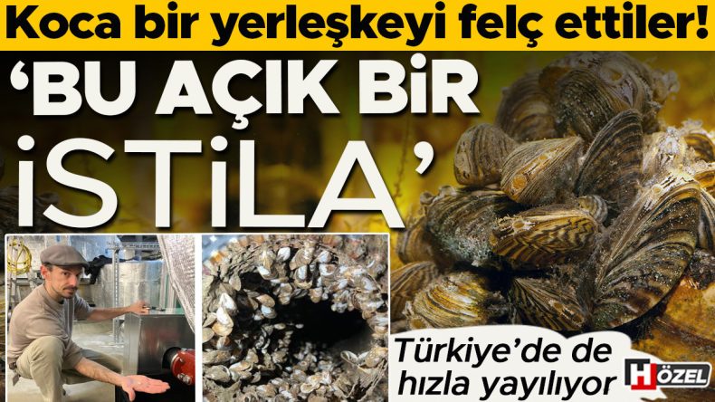 Koca Bir Yerleşkeyi Fel&ccedil; Ettiler! &lsquo;Bu A&ccedil;ık Bir İstila&rsquo; | T&uuml;rkiye'de de Hızla Yayılıyor, Tehlikeleri Neler?