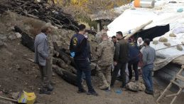 Koruma Altındaki Hayvanı Vuran Kişiye 966 Bin TL Ceza!