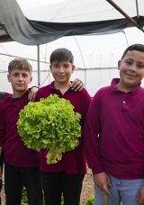 K&ouml;y Okulunda Eğitimi Sınıflardan Seralara, Zeytin ve Ceviz Bah&ccedil;elerine Taşıdılar!